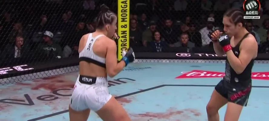 Прогнозы на ufc